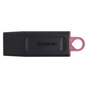 Memoria Usb Kingston 256gb Datatraveler Exodia (Dtx/256gb) Negro, 3.2